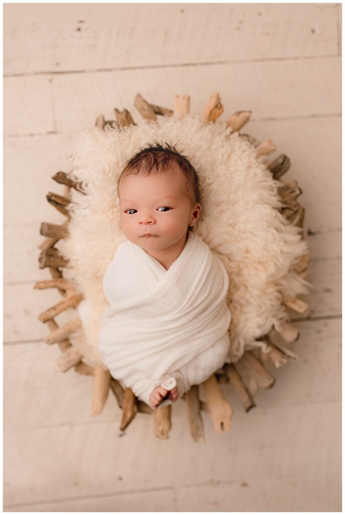 infant opens eyes swaddled on fur by Charlottesville photographer