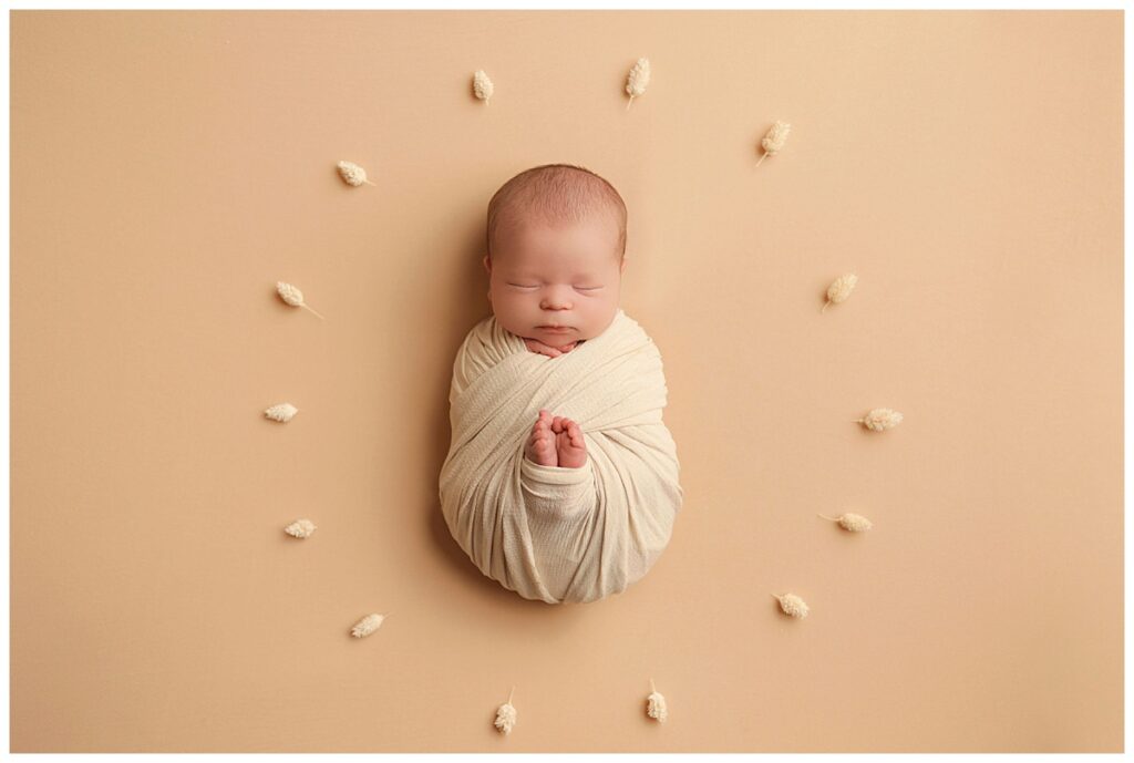 baby boy studio session includes wheat circle around swaddled babe