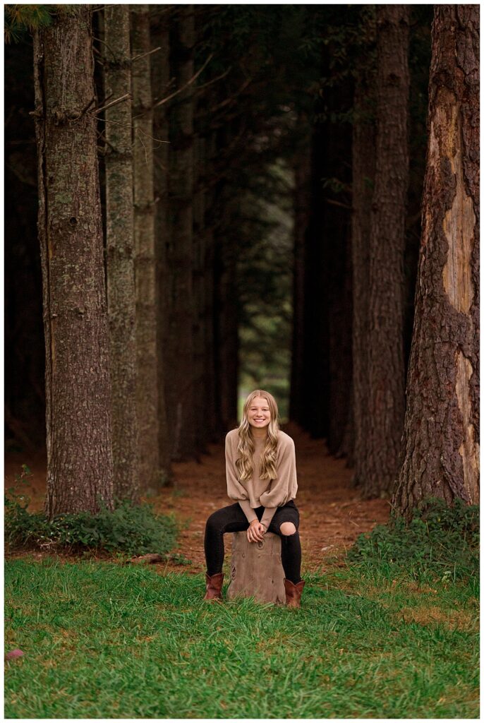 high school senior sits on stump in forest of large trees by Charlottesville luxury photographer